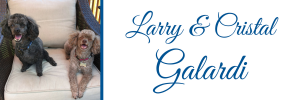 Galardi Logo