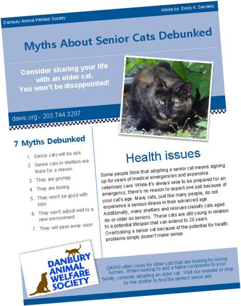 SeniorCatMyths