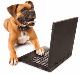 A dog using the computer